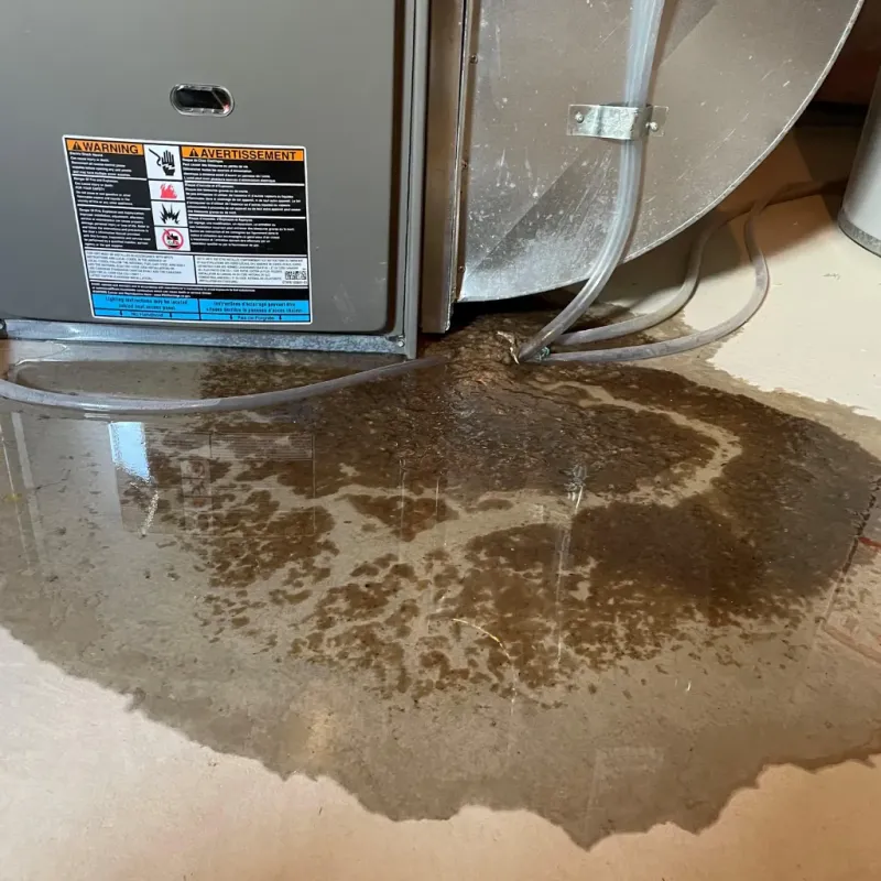 Appliance Leak Cleanup in Washington County, AL